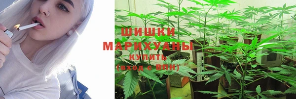мет Белокуриха